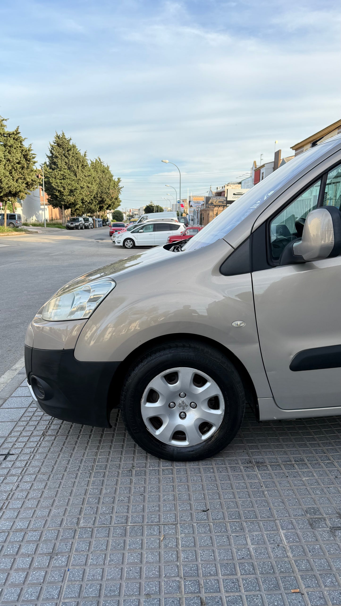 PEUGEOT PARTNER TEPEE